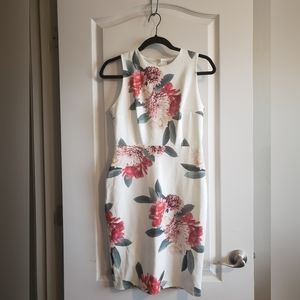 Dorothy Perkins white with pink florals dress, US size 4, UK size 8